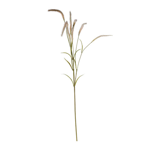 Cream Setaria Grass Spray (105cm)