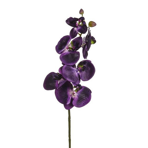 Purple Orchid Phalaenopsis (75cm)