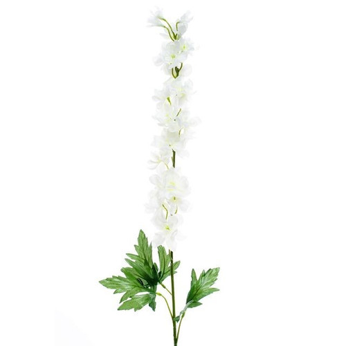 Delphinium Cream (90cm)
