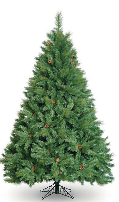 Boston Pine Tree (4ft)