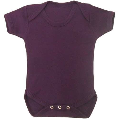 Purple Unbranded Short Sleeve Bodysuit (12-18 Months)