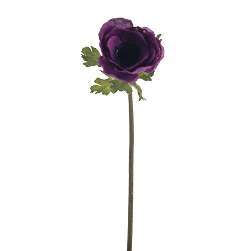 Purple Olivia Anemone Stem (38cm)