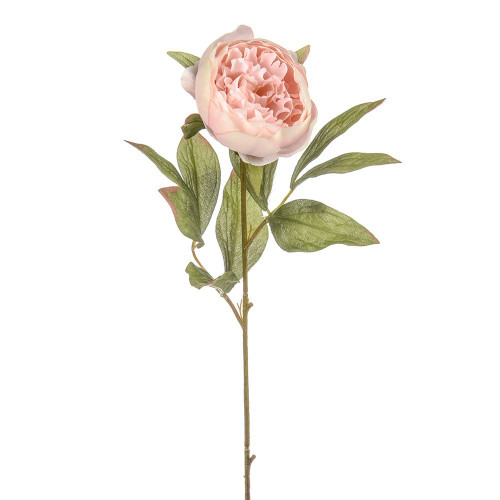 Pink Dawn Peony (62cm)