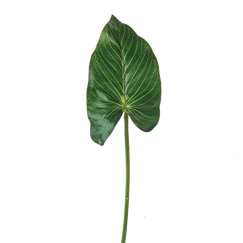 Green Leaf Anthurium (33cm)