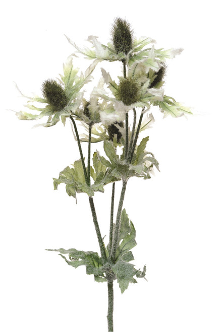 Green Sea Holly Spray (81cm)