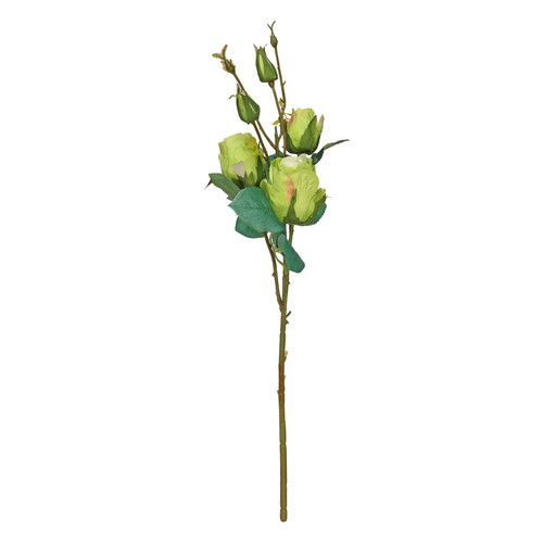 Rose Spray Lime  (51cm) 