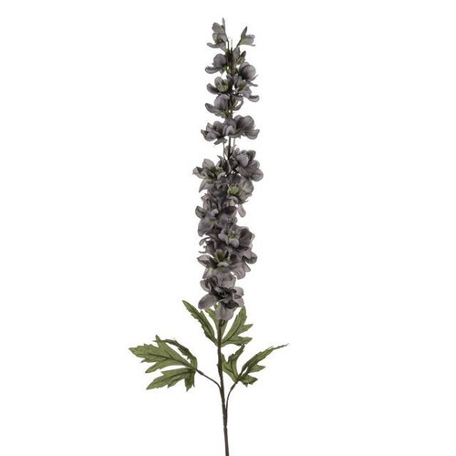Delphinium Grey (90cm)