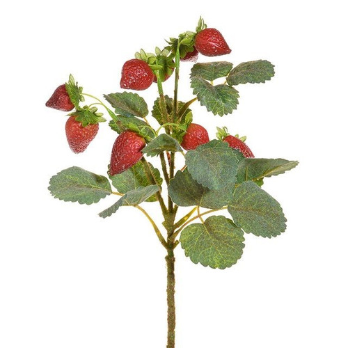 Strawberry Pick (31cm)