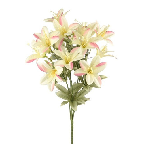 Yellow Pink Flora Lily Bush (38cm)