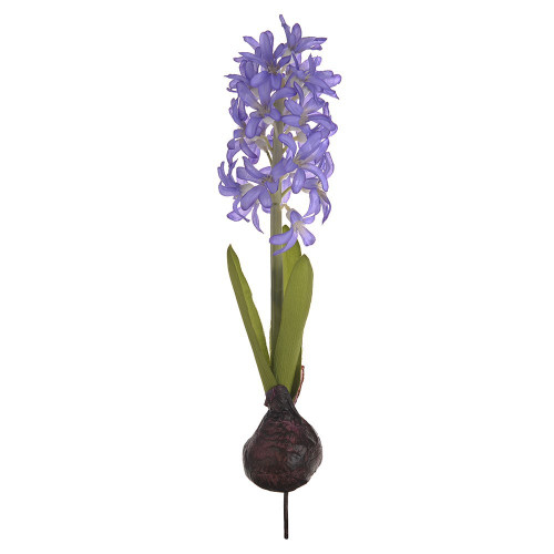 Purple Hyancinth on Bulb Purple (34cm)