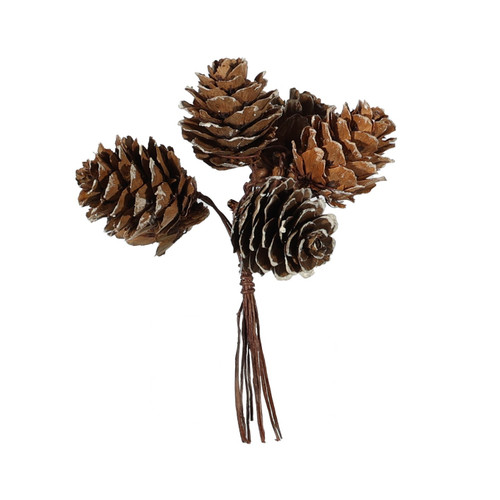 6 Pine Cones Pick (10cm L)