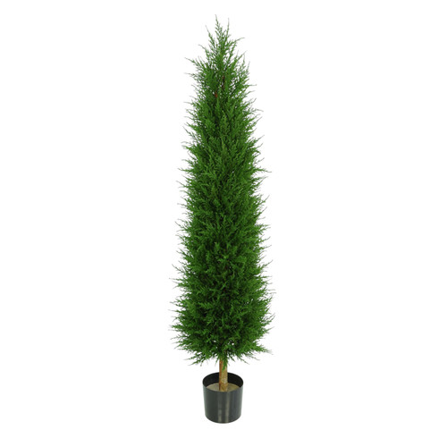 Dark Green Cupressus Tower Tree Potted (4ft)