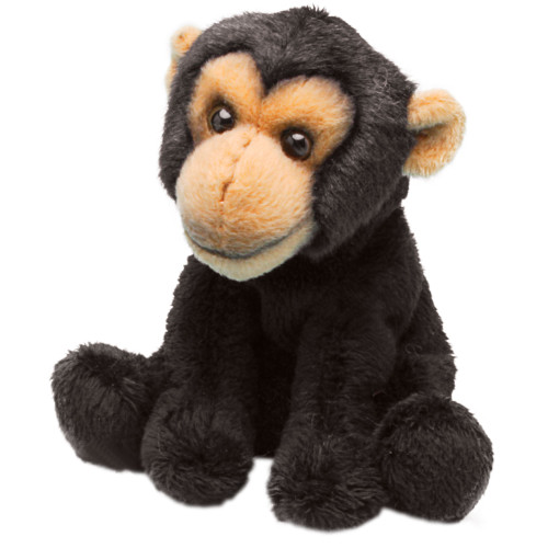 Small Monkey