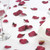 Burgundy Rose Petals in PVC Tub