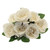 Eden Roses Bunch Cream (l44cm)