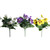 Pansy Bush (Assorted Colours)