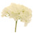 Short Stem Single Hydrangea Cream (51cm)