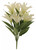 Lily Bush X 9  White  