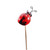 Ladybird on spring wooden pick 10pck