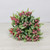 Frosted Red Berry Bunch with Green Leaves