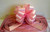 Baby Pink Pull Bow (50mm) Baby Pink Pull Bow (50mm)