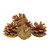 Gold Glitter Pinecones (250g)
