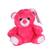 Cerise Baby Bundle Bear (Plush Soft Toy)
