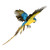 Blue Flying Macaw 