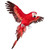 Large Red Flying Macaw