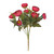 Essential Burgundy Ranunculus Bush