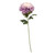 Chrysanthemum Lavender  Chrysanthemum Lavender