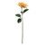 Glamis Single Dahlia with Yellow (61cm)