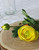 Rannunculus Yellow 