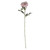 Aidde Rose Antique Pink (74cm)