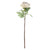 Single Peony Cream  (71cm)