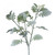 Long Stem Dusty Miller Spray Grey/green 