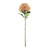 Essential Peach Giant Hydrangea