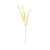 Essential Dry Look Eucalyptus Stem