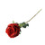Essential Deep Red Garden Rose Essential Deep Red Garden Rose