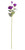 Purple Lisianthus Spray (69cm)