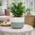 Hortus Green & White Bordeaux Stoneware Pot (22.5cm H x 24.5cm Dia)