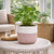 Hortus Pink & White Bordeaux Stoneware Pot (20cm H x 22cm Dia)