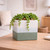 Hortus Green & White Bordeaux Stoneware Cube (12.5cm H x 12.5cm W)
