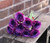 Rose Bundle Dark Purple (42 X 8.5cm)