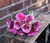 Rose Bundle Purple Mix (42 X 8.5cm)