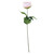 Essential Light Pink Arundel Garden Peony (57cm)