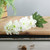 Essential Ivory Arundel Garden Delphinium (77cm)