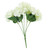 Essential Cream Arundel Hydrangea Bush