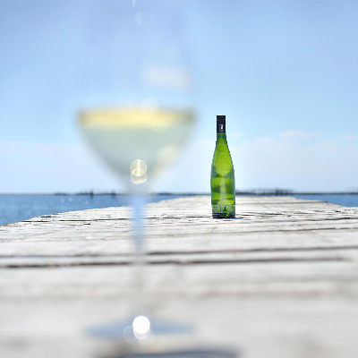 Picpoul de Pinet, Picpoul or Piquepoul?