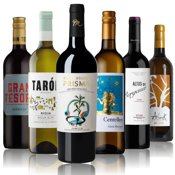 The Spanish Wine Case featuring six wines from Spain selected by Wickhams